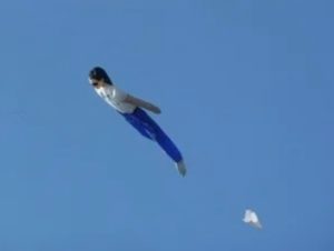 空飛ぶ人間 千葉の正体は凧 フライングヒューマノイド完全体の真相が判明 たけしの超常現象 New Journal