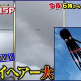 スカイヘアーの正体はタコの凧！UMAの真相が動画で判明【たけしの超常現象 2020】