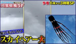 スカイヘアーの正体はタコの凧！UMAの真相が動画で判明【たけしの超常現象 2020】